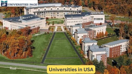 universities in usa